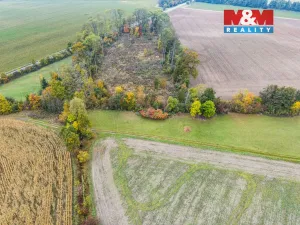 Prodej zahrady, Opatovice nad Labem - Pohřebačka, 250 m2