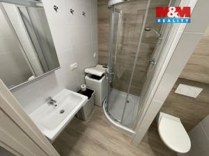 Pronájem bytu 2+kk, Praha - Braník, Novodvorská, 40 m2