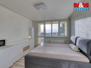 Pronájem bytu 1+kk, Dobřany, Sokolovská, 23 m2