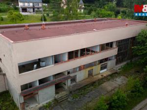 Prodej komerčního pozemku, Havlovice, 8238 m2
