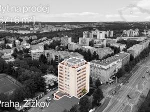 Prodej bytu 3+kk, Praha - Žižkov, U kněžské louky, 67 m2