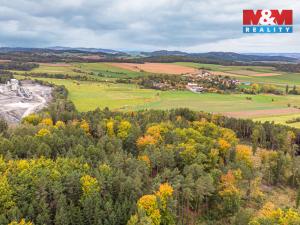 Prodej lesa, Ježovy - Trnčí, 39171 m2