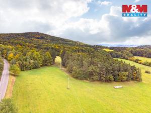 Prodej lesa, Ježovy - Trnčí, 39171 m2