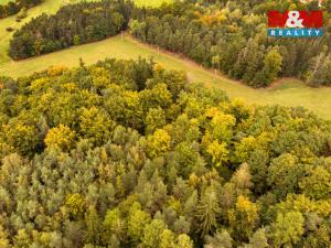 Prodej lesa, Ježovy - Trnčí, 39171 m2