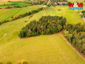 Prodej lesa, Ježovy - Trnčí, 39171 m2