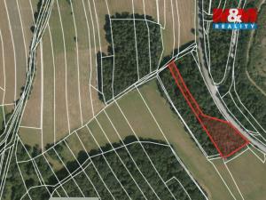 Prodej lesa, Ježovy - Trnčí, 39171 m2