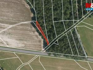 Prodej lesa, Ježovy - Trnčí, 39171 m2