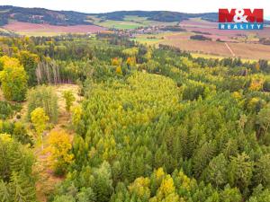 Prodej lesa, Černíkov, 12446 m2