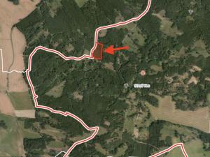 Prodej lesa, Černíkov, 12446 m2