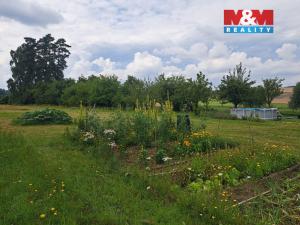 Prodej pozemku pro bydlení, Mirovice - Plíškovice, 4705 m2