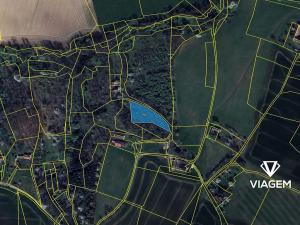 Prodej podílu lesa, Sobotka, 428 m2