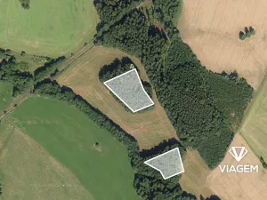 Prodej podílu lesa, Pustá Kamenice, 2849 m2