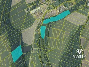 Prodej podílu lesa, Fulnek, 7911 m2