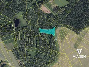Prodej podílu lesa, Studnice, 2072 m2