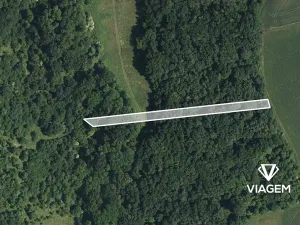 Prodej lesa, Hradčovice, 1362 m2