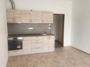 Pronájem bytu 1+kk, Třešť, Nádražní, 27 m2