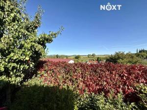 Prodej rodinného domu, Tábor, 180 m2