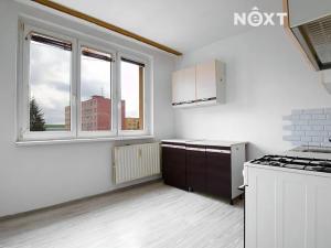 Pronájem bytu 1+1, Žatec, Jabloňová, 40 m2