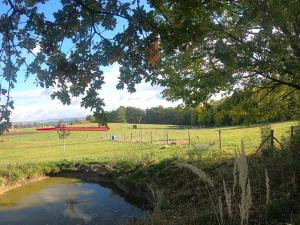 Prodej zahrady, Boršov nad Vltavou, K Pilotovi, 460 m2