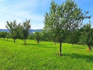 Prodej louky, Vizovice, 17696 m2