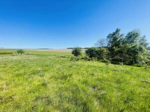 Prodej pozemku pro bydlení, Radnice, Puchmajerova, 850 m2