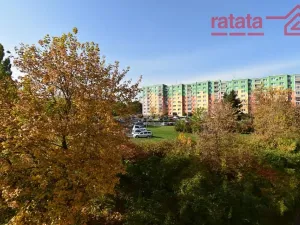 Pronájem bytu 1+1, Klášterec nad Ohří, Olšová, 40 m2