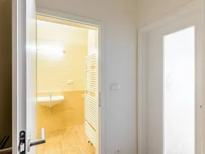 Pronájem bytu 1+kk, Praha - Vršovice, Rybalkova, 28 m2