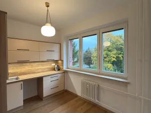 Pronájem bytu 2+1, Třinec, B. Němcové, 58 m2