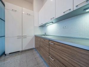 Pronájem bytu 4+kk, Praha - Vinohrady, Na Švihance, 140 m2