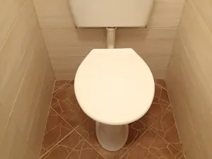 Prodej bytu 3+1, Hlinsko, Budovatelů, 61 m2