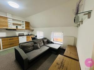 Pronájem bytu 2+kk, Hlušovice, Okružní, 42 m2