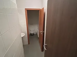 Pronájem bytu 1+1, Hlušovice, Okružní, 30 m2