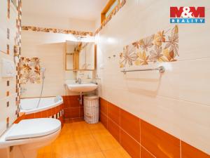Prodej bytu 3+1, České Budějovice - České Budějovice 2, Větrná, 60 m2