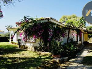 Prodej vily, Estepona, Španělsko, 220 m2