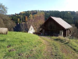 Prodej rodinného domu, Zlatá Olešnice, 200 m2