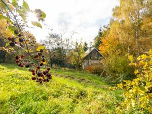 Prodej zahrady, Horní Lhota, 530 m2