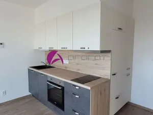 Pronájem bytu 1+kk, Olomouc, Šantova, 34 m2