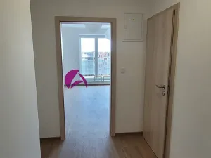 Pronájem bytu 1+kk, Olomouc, Šantova, 34 m2