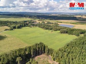 Prodej komerčního pozemku, Přimda - Mlýnec, 238031 m2