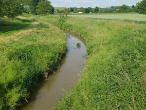 Prodej zahrady, Bučovice, 2010 m2