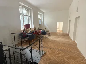Prodej obchodního prostoru, Praha - Nové Město, Na Zderaze, 376 m2