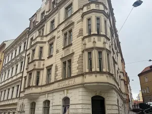 Prodej obchodního prostoru, Praha - Nové Město, Na Zderaze, 376 m2