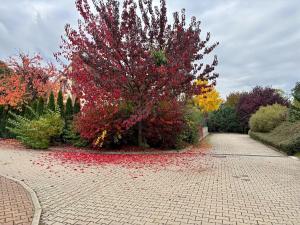 Prodej rodinného domu, Dobřejovice, Nad Mlýnským Rybníkem, 180 m2