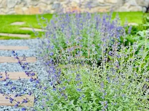 Prodej rodinného domu, Mnichovice, 186 m2