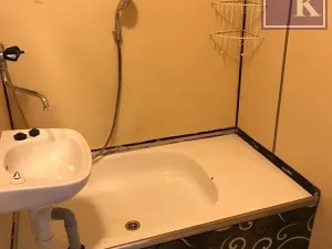 Pronájem bytu 1+1, Ostrava, Svojsíkova, 27 m2