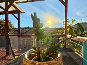 Pronájem bytu 4+kk, Kroměříž, Vrchlického, 130 m2