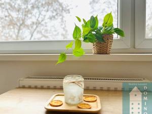 Pronájem bytu 1+1, Kroměříž, Denkova, 36 m2