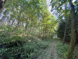 Prodej pozemku, Lánov - Horní Lánov, 1080 m2