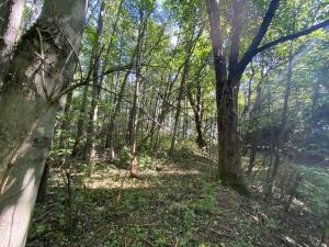 Prodej pozemku, Lánov - Horní Lánov, 1080 m2