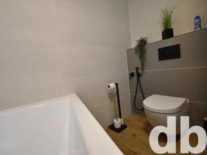 Pronájem bytu 2+1, Nejdek, Lipová, 66 m2